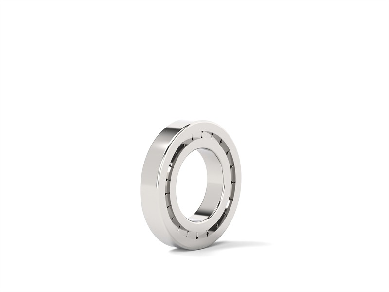 Cylindrical Roller Bearings