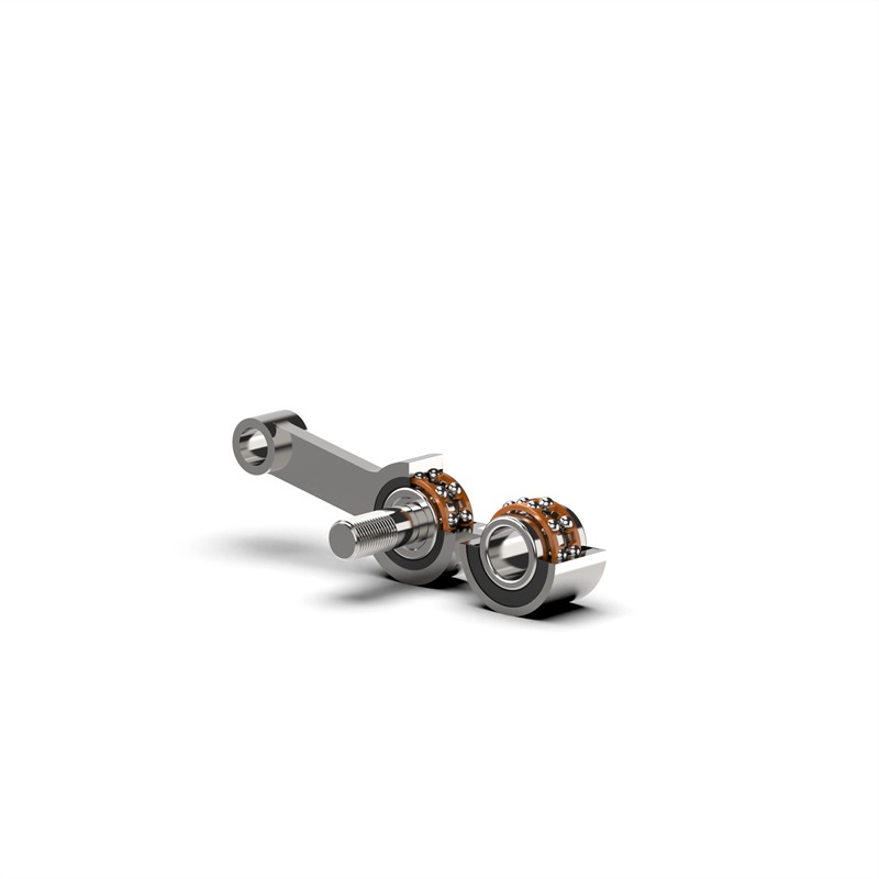 Custom Integrated Double Row Deep Groove Ball Bearing