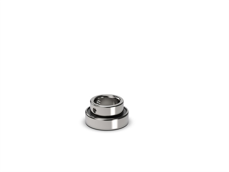 Extended Inner Ring Bearing