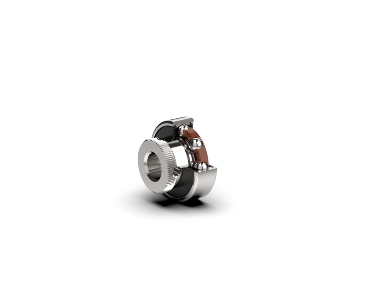 Extended Inner Ring Bearing