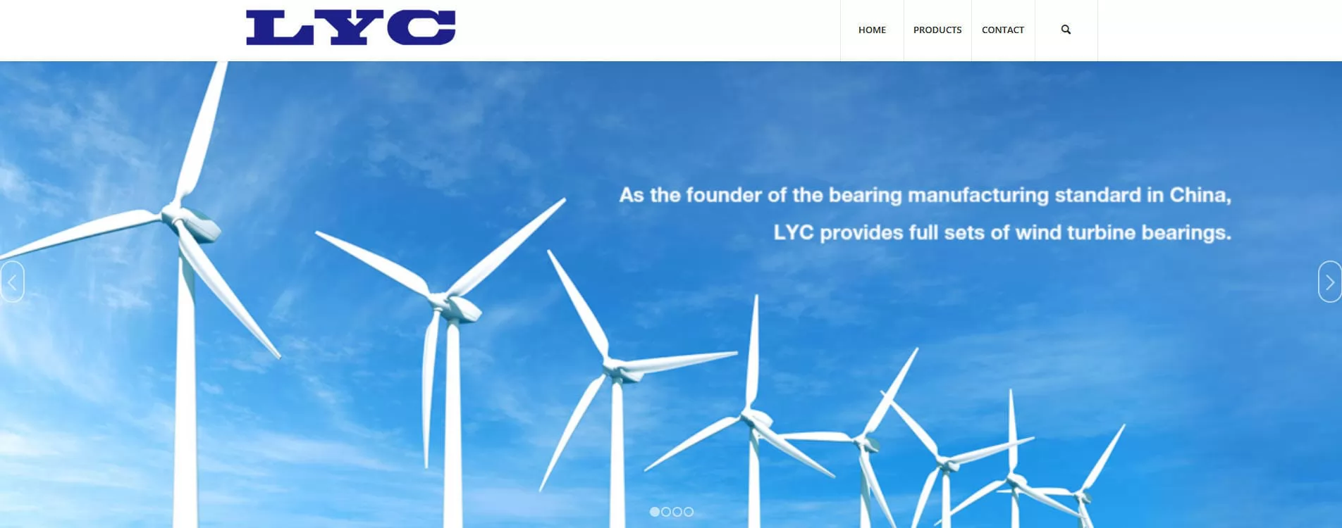 Top Roller Bearing Manufacturers and Suppliers in China