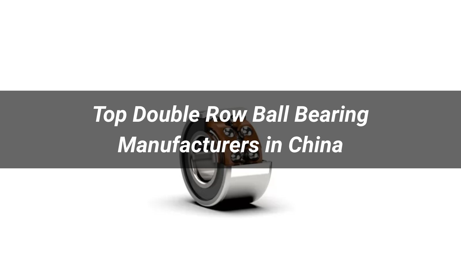 Top 10 Double Row Ball Bearing Manufacturers in China (2026 Buyer's Guide)