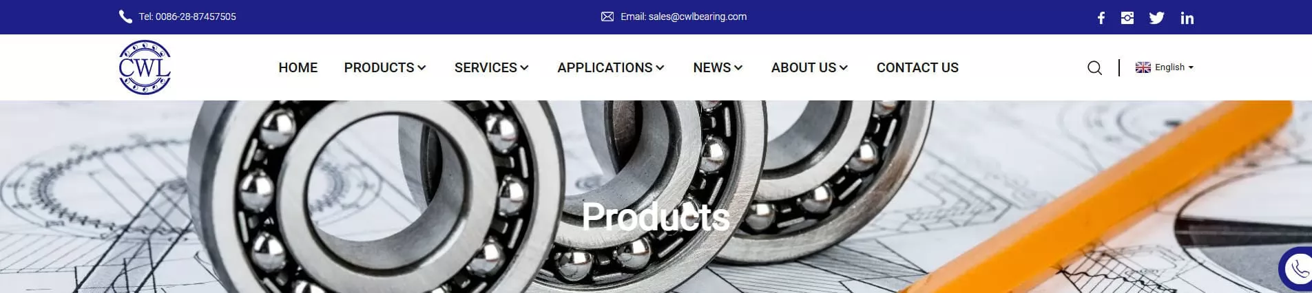 CWL Bearing China Cylindrical Roller Bearing Supplier