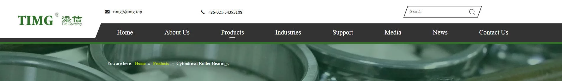 TMB Bearing China Cylindrical Roller Bearing Manufacturer