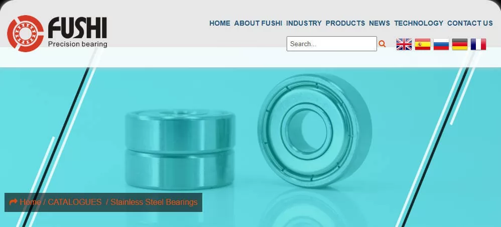 Fushi Bearing Stainless Steel Bearings Manufacturer in China