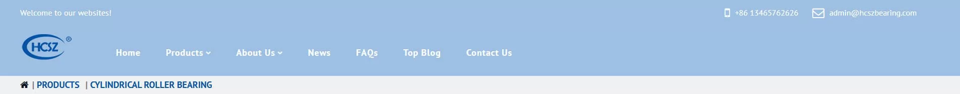 SDHS Bearing China Cylindrical Roller Bearing Manufacturer